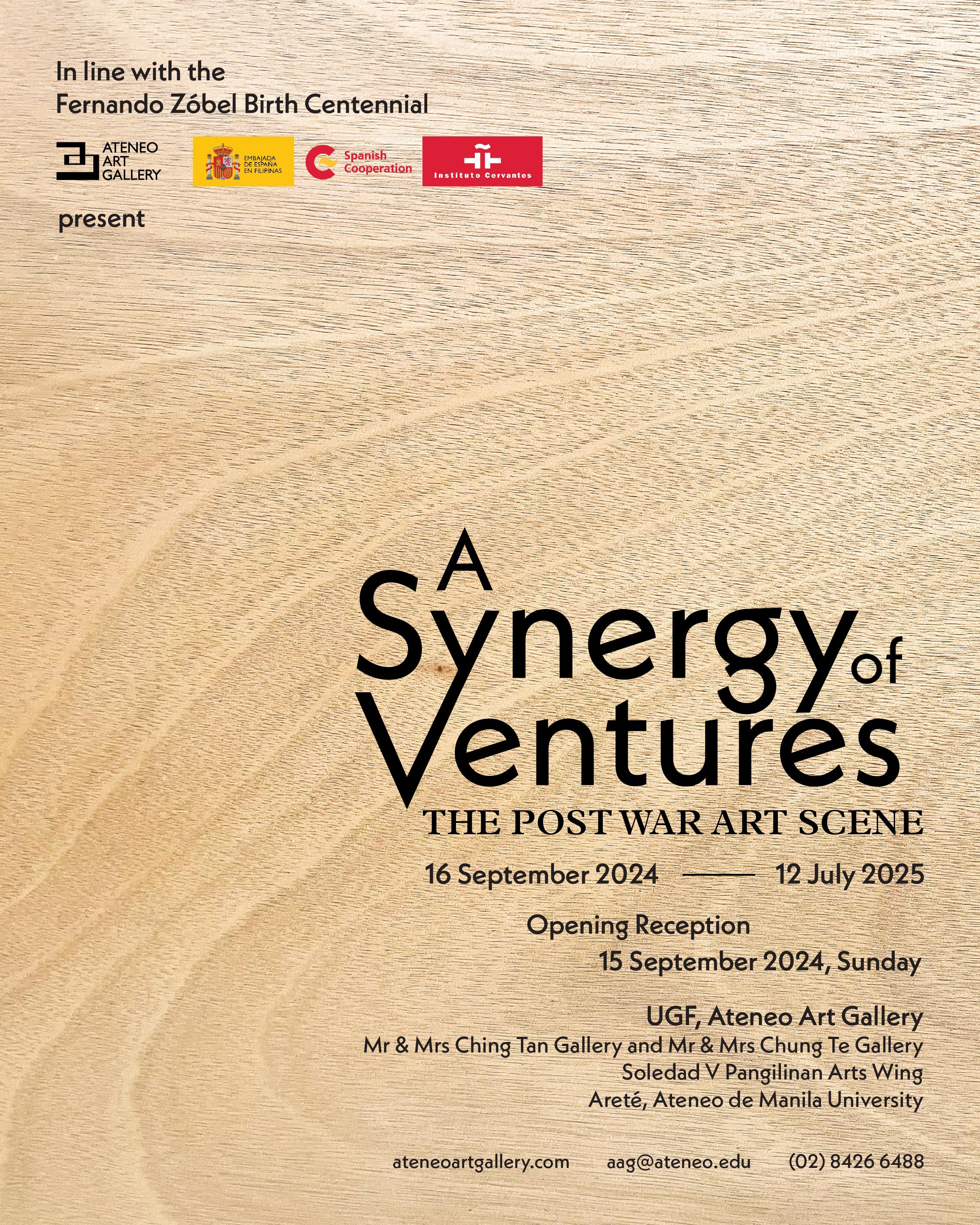 A Synergy of Ventures Main Poster