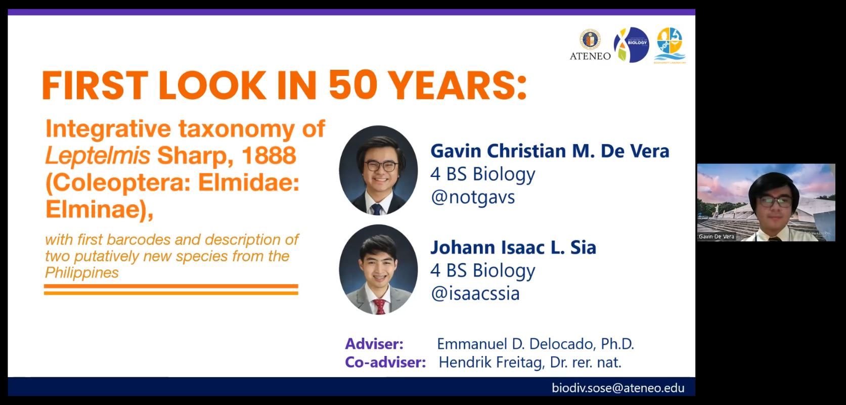 Leptelmis_presentation