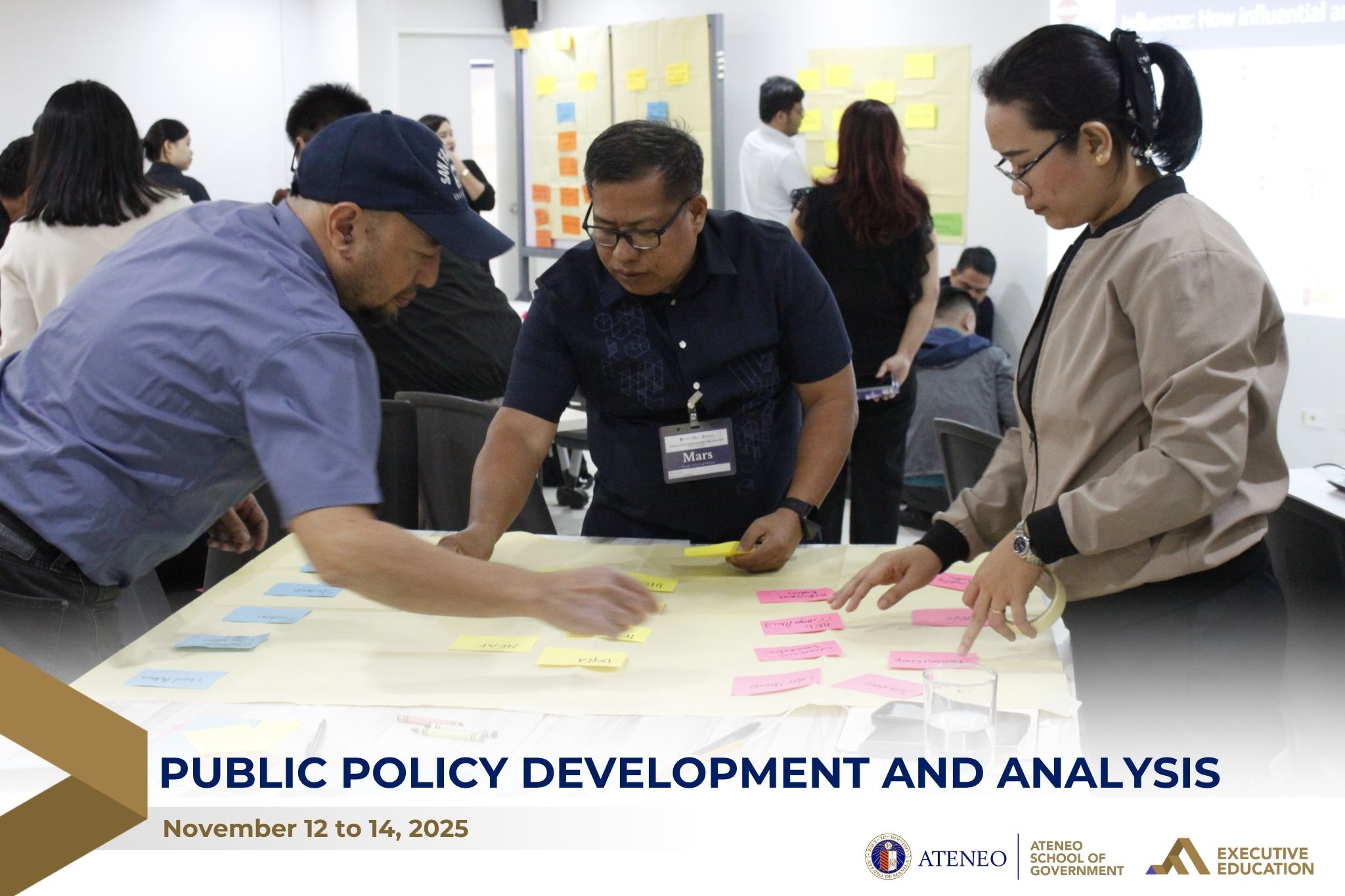 Public Policy Development and Analysis