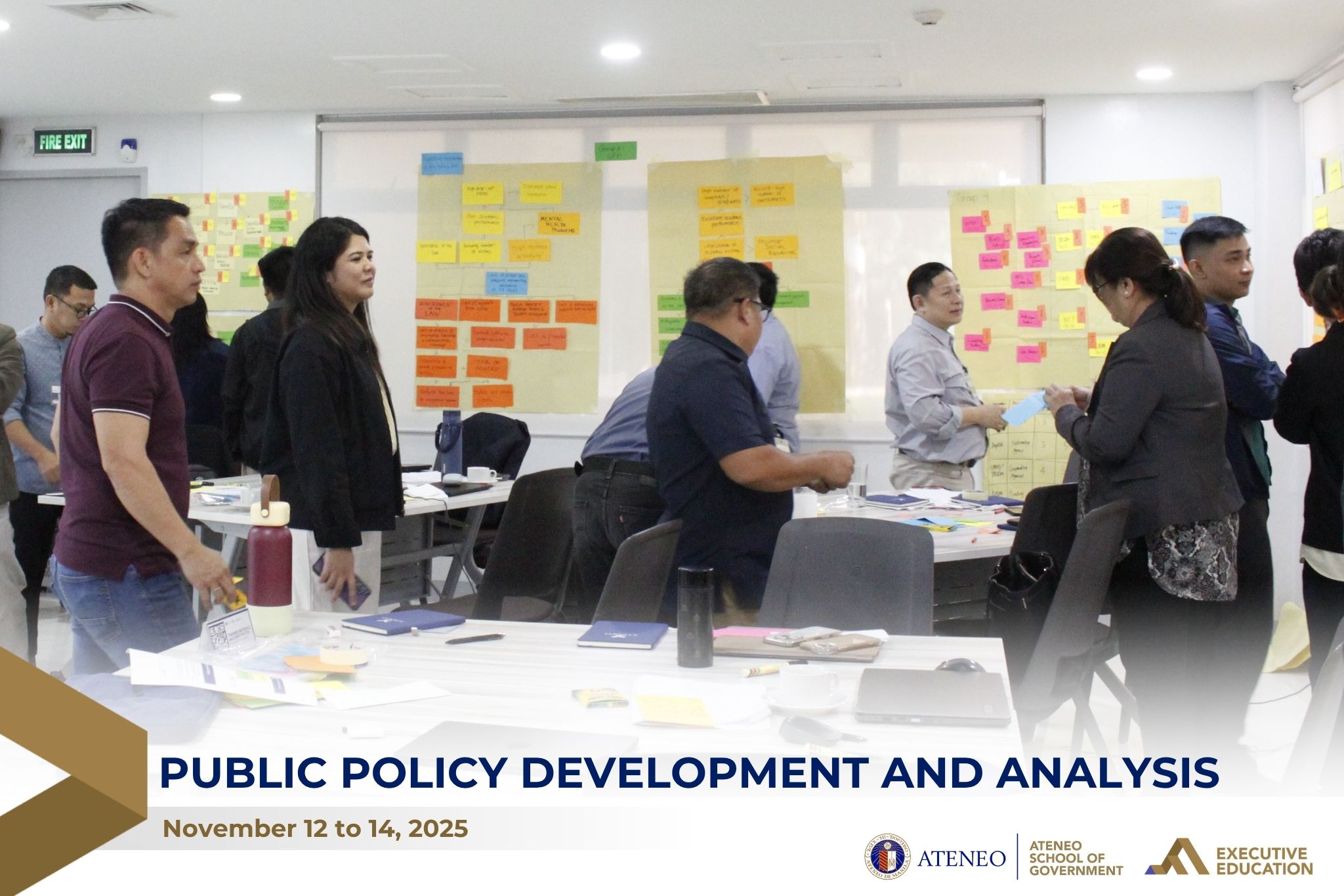 Public Policy Development and Analysis