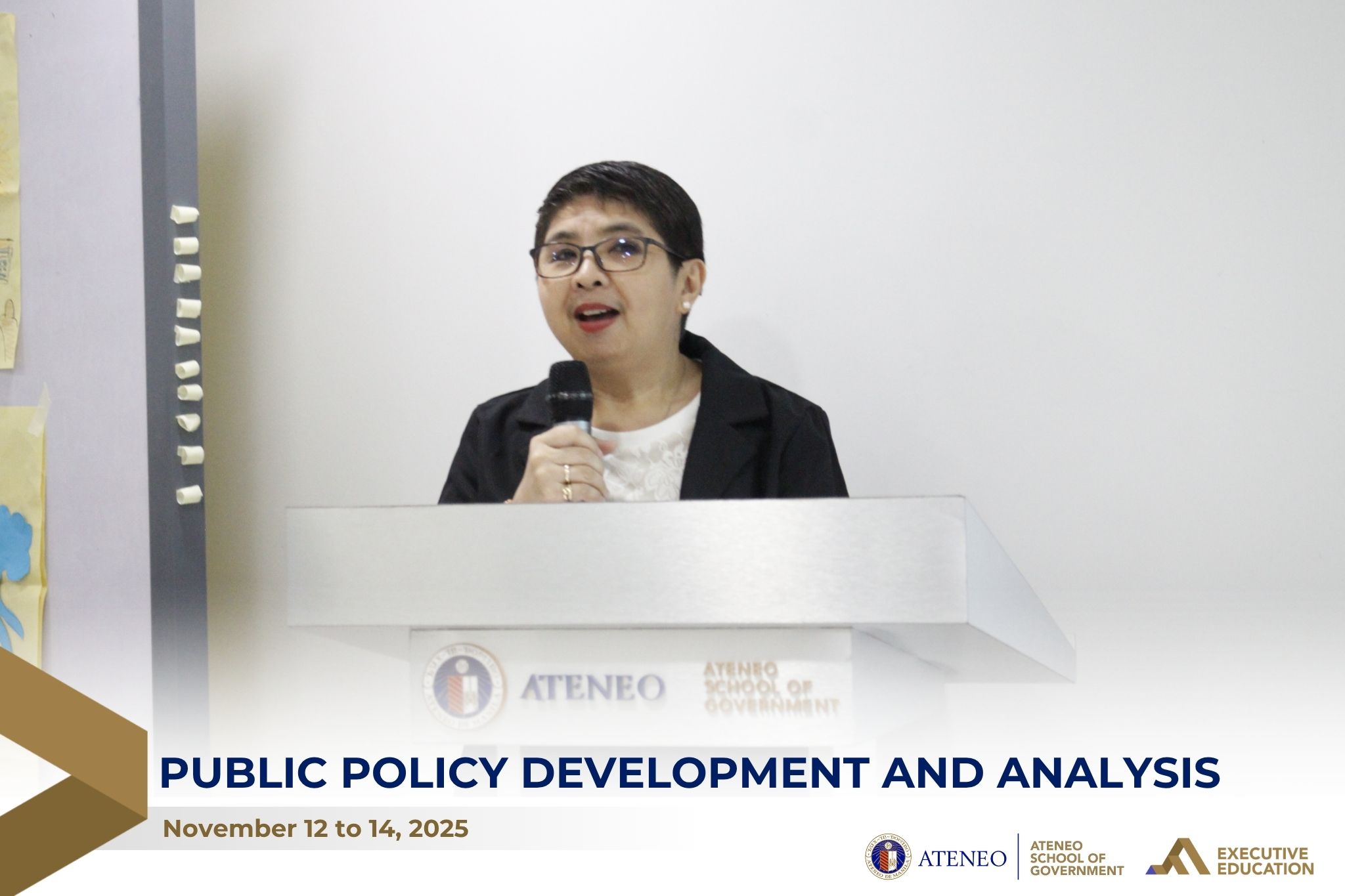 Public Policy Development and Analysis