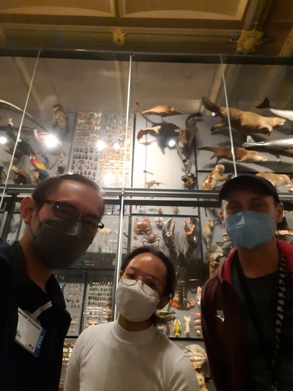 Earlier this year, (L-R) Delocado, Seno, and Freitag conducted a research visit at the Museum für Naturkunde Berlin as part of the BIO-PHIL project.