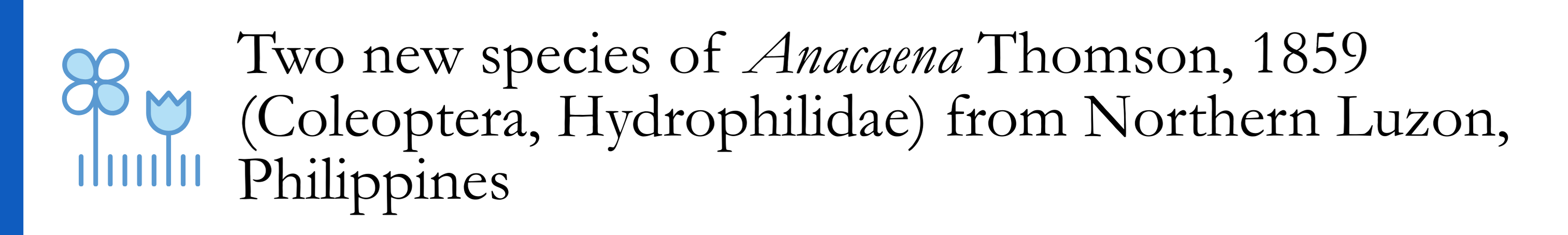 Sanchez et al 2022 - Two new species of Anacaena Thomson, 1859 (Coleoptera, Hydrophilidae) from Northern Luzon, Philippines