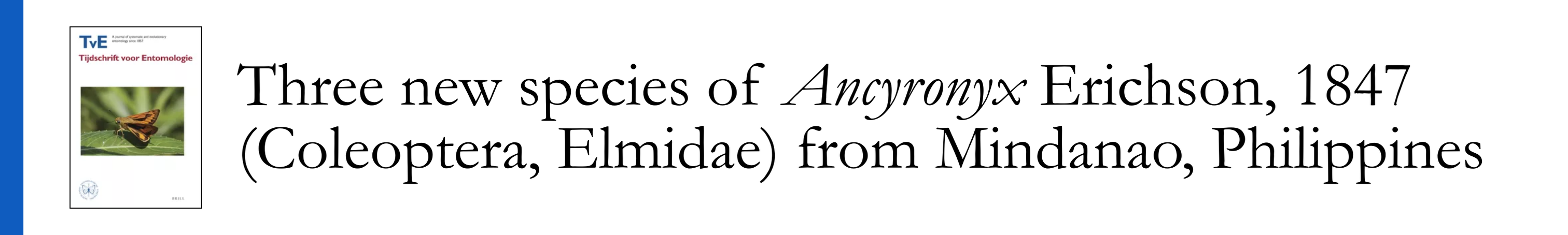 Seno et al 2022 - Three new species of Ancyronyx Erichson, 1847 (Coleoptera, Elmidae) from Mindanao, Philippines
