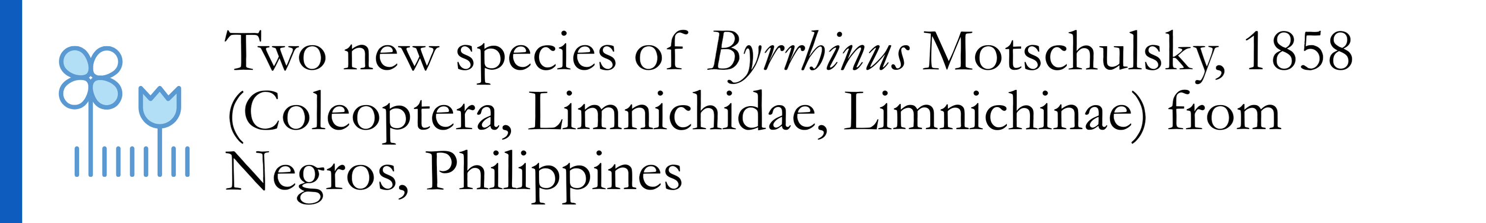 Delocado & Freitag 2021 - Two new species of Byrrhinus Motschulsky, 1858 (Coleoptera, Limnichidae, Limnichinae) From Negros, Philippines