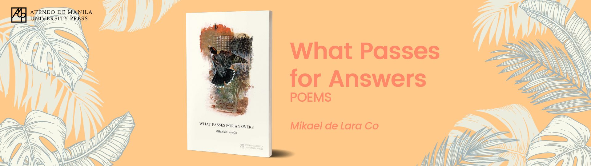What Passes for Answers: Poems by Mikael de Lara Co