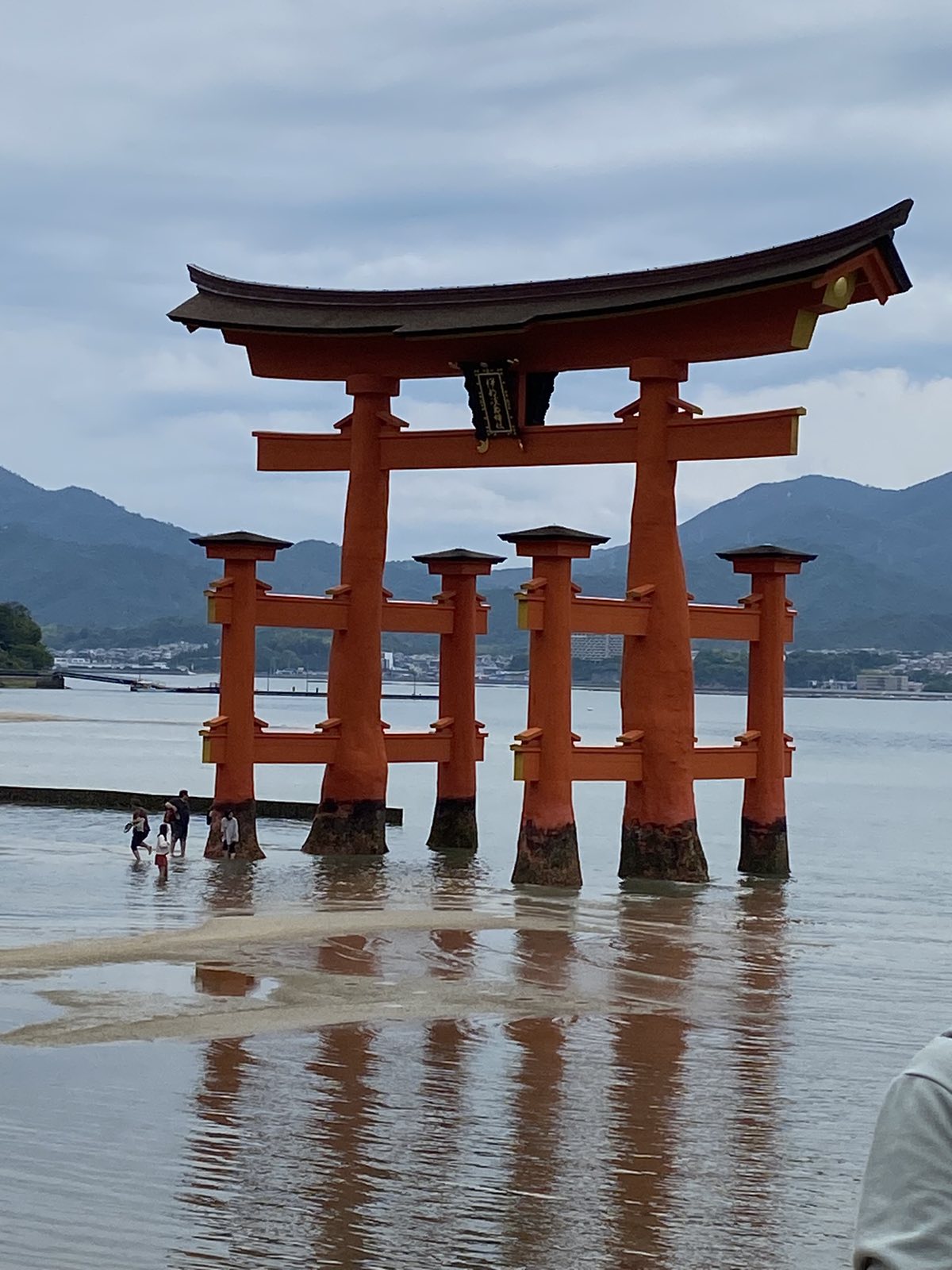 Mikee Flores submission 