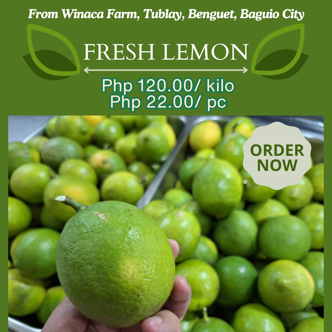 Sample Ad for Fresh Lemons 