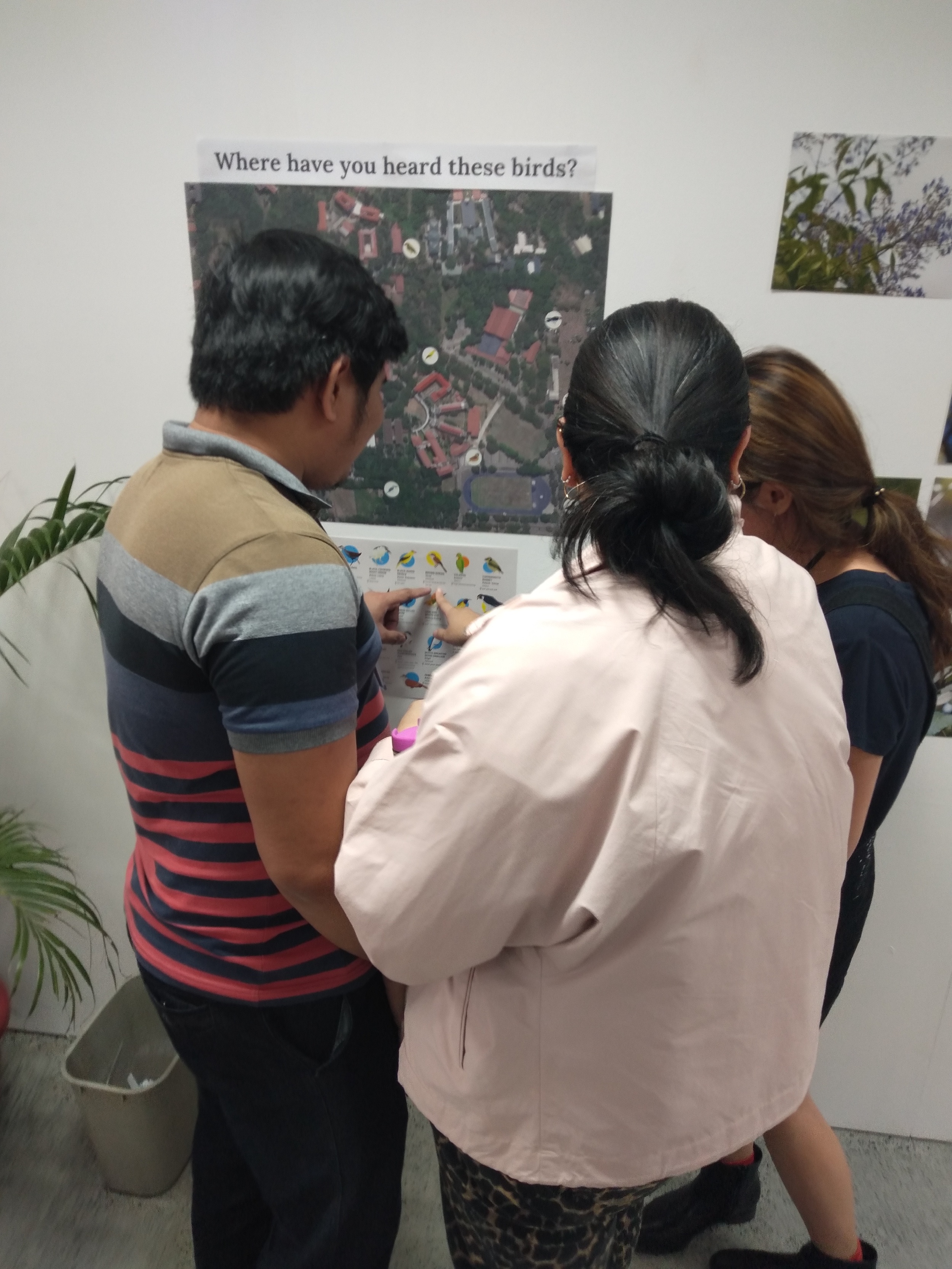 Guests also helped fill up a map of the Ateneo de Manila University campus by identifying locations where they heard certain species of birds.