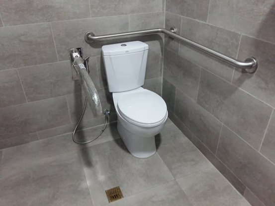 Dual Flushing PWD Toilet