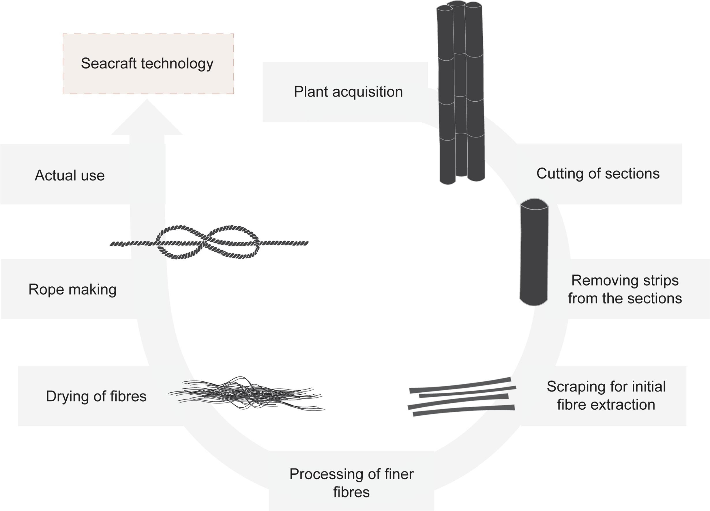 Steps in plant-working technology 