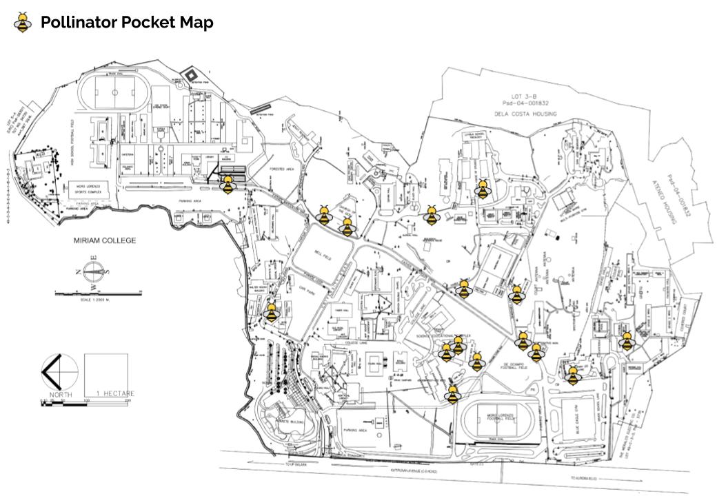 Ateneo Pollinator Pocket Map