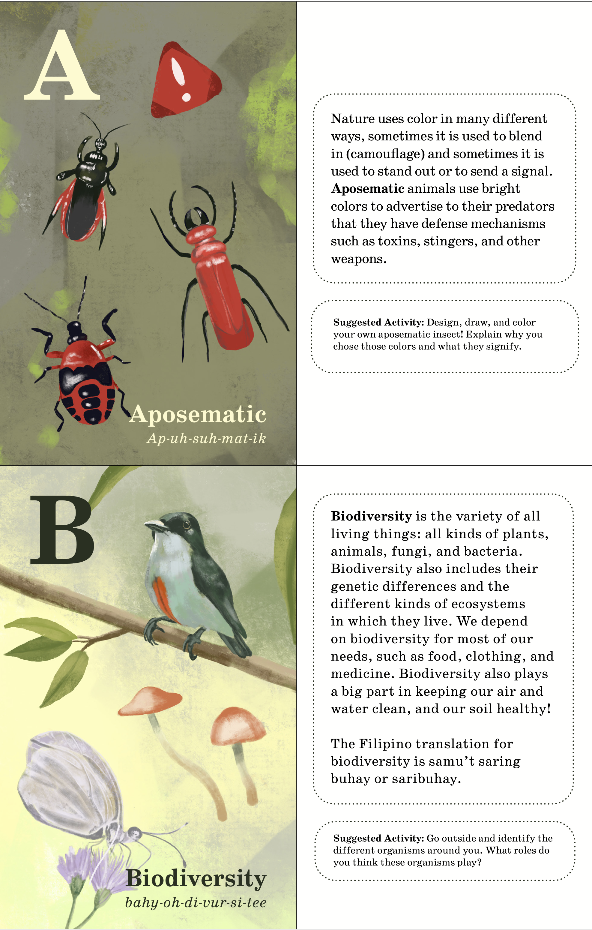 The City Wild Flashcards