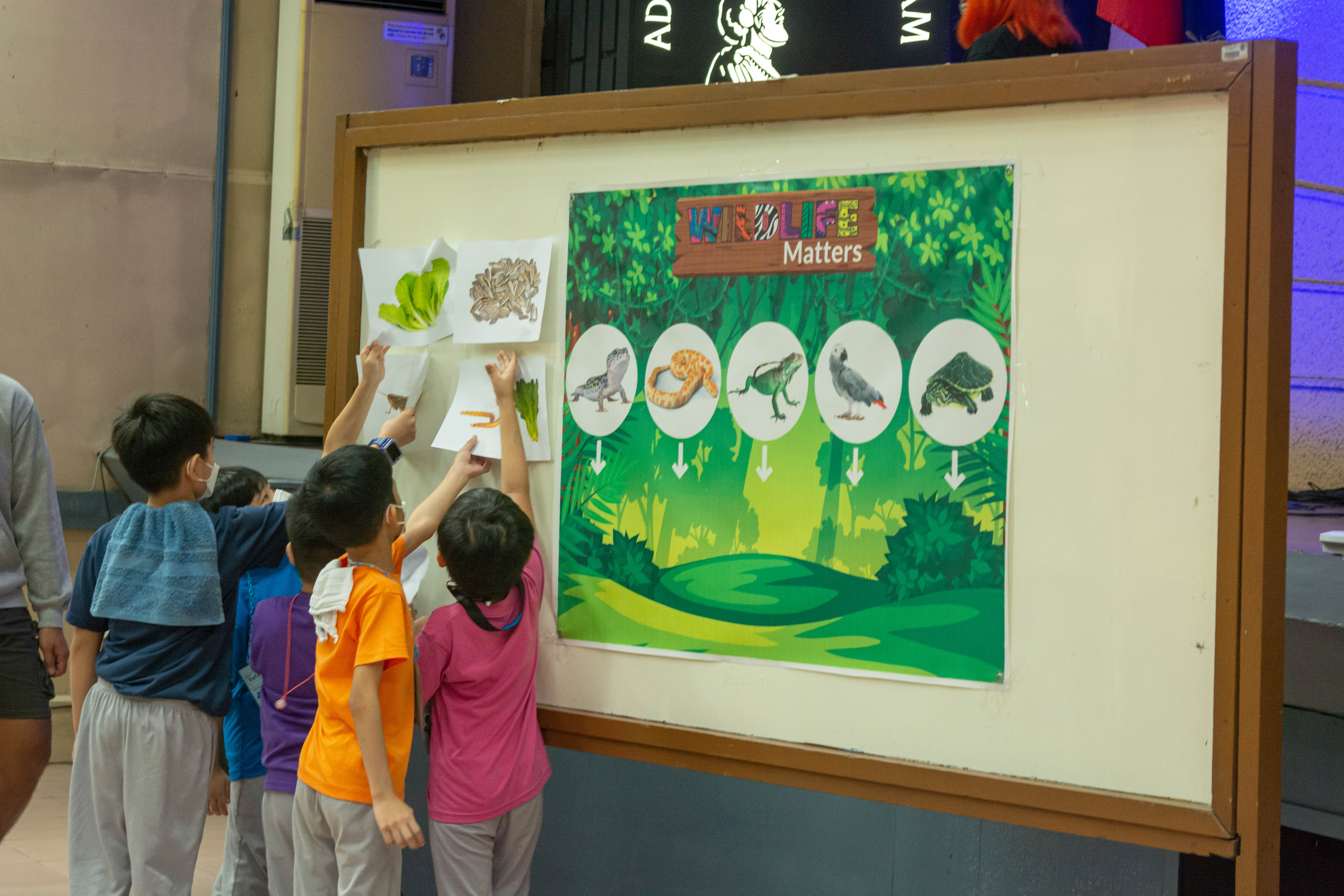 The boys prove that they listened to and learned from the Wildlife Matters team.