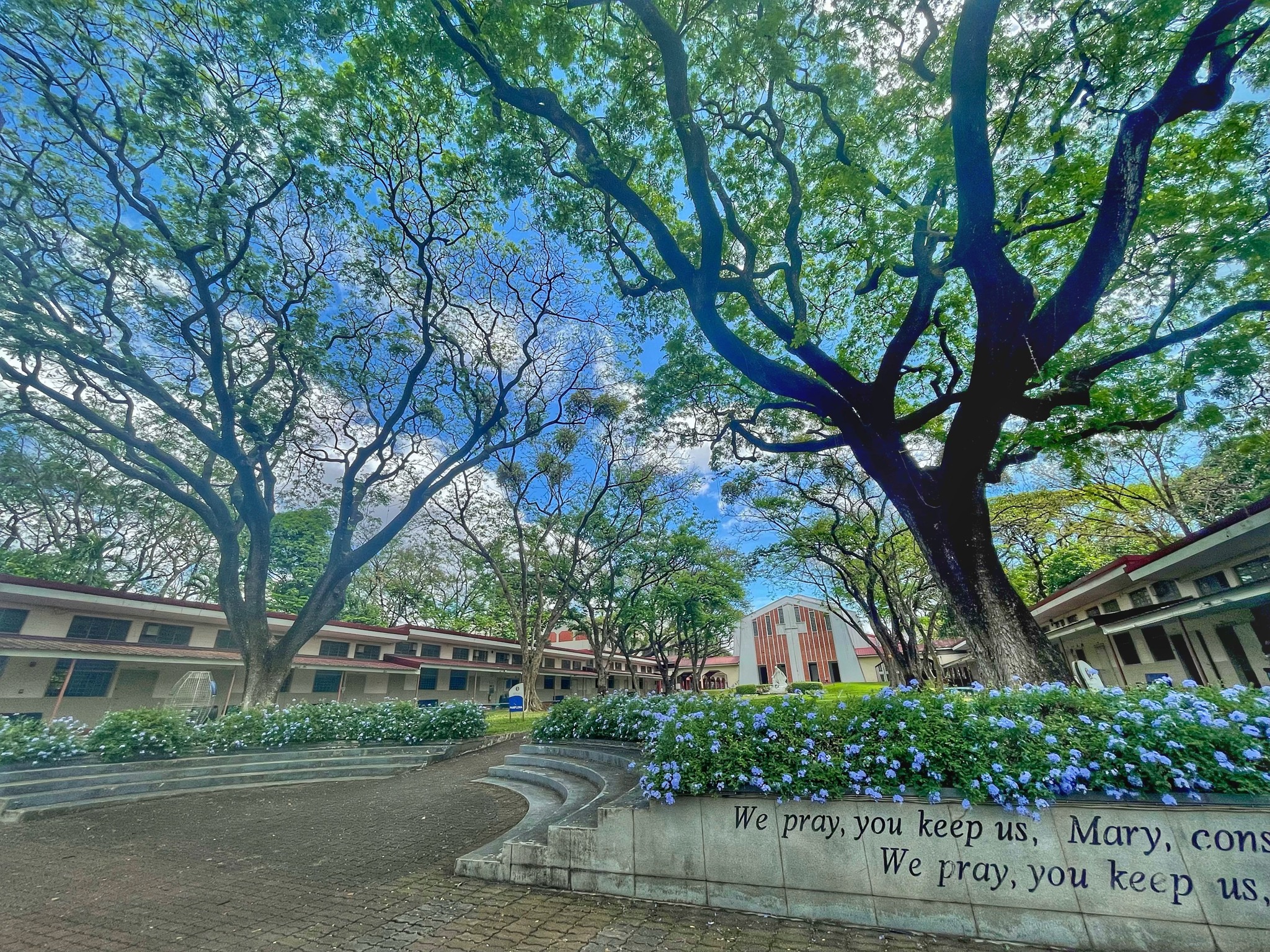 The Pamplona quadrangle