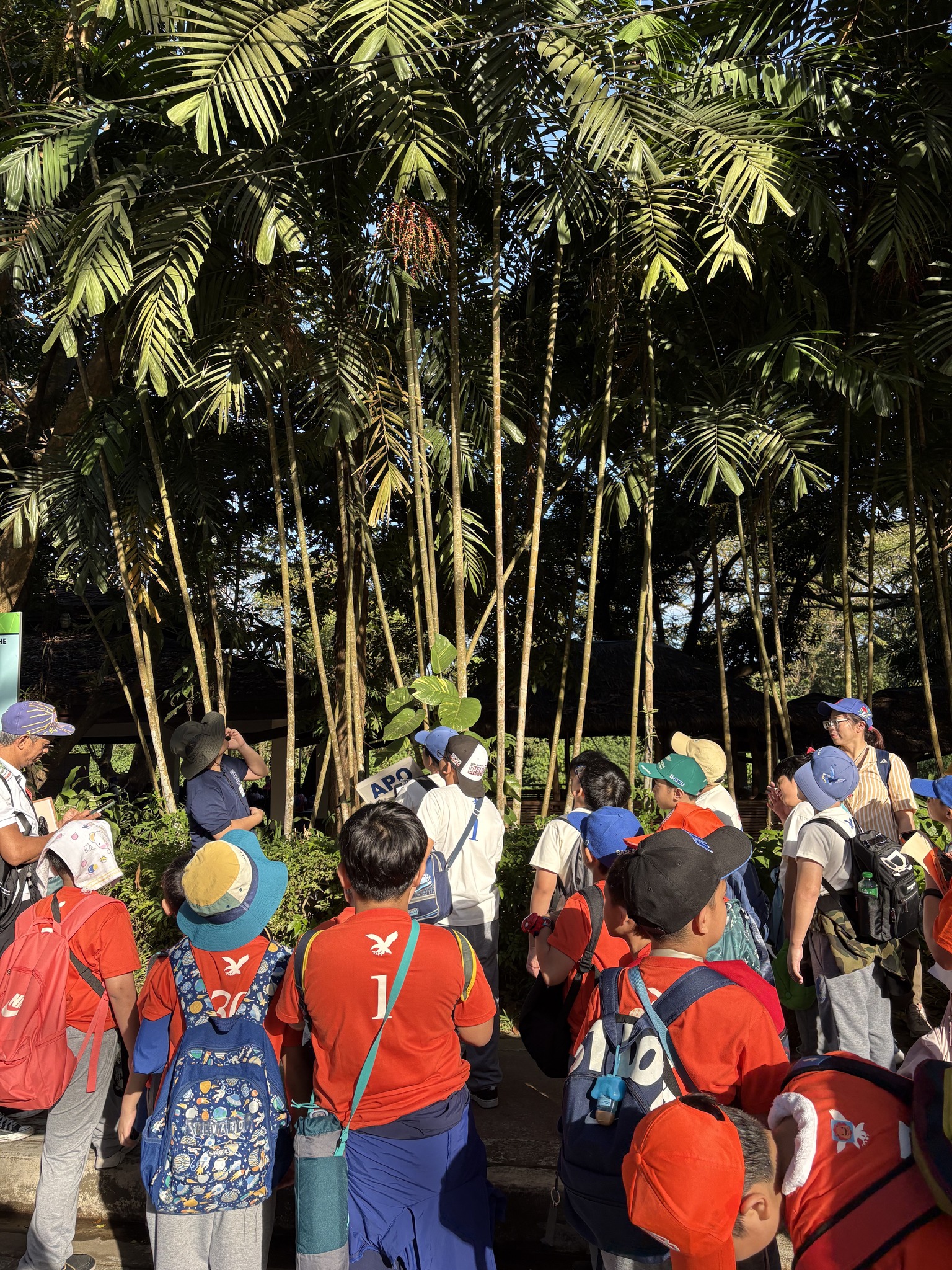 The students learn about the various native trees and gear up for the mindfulness walk. Photos by Juro Morilla