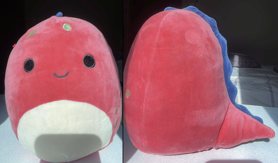 “Solace” - the innovation project of Future Innovators Team B