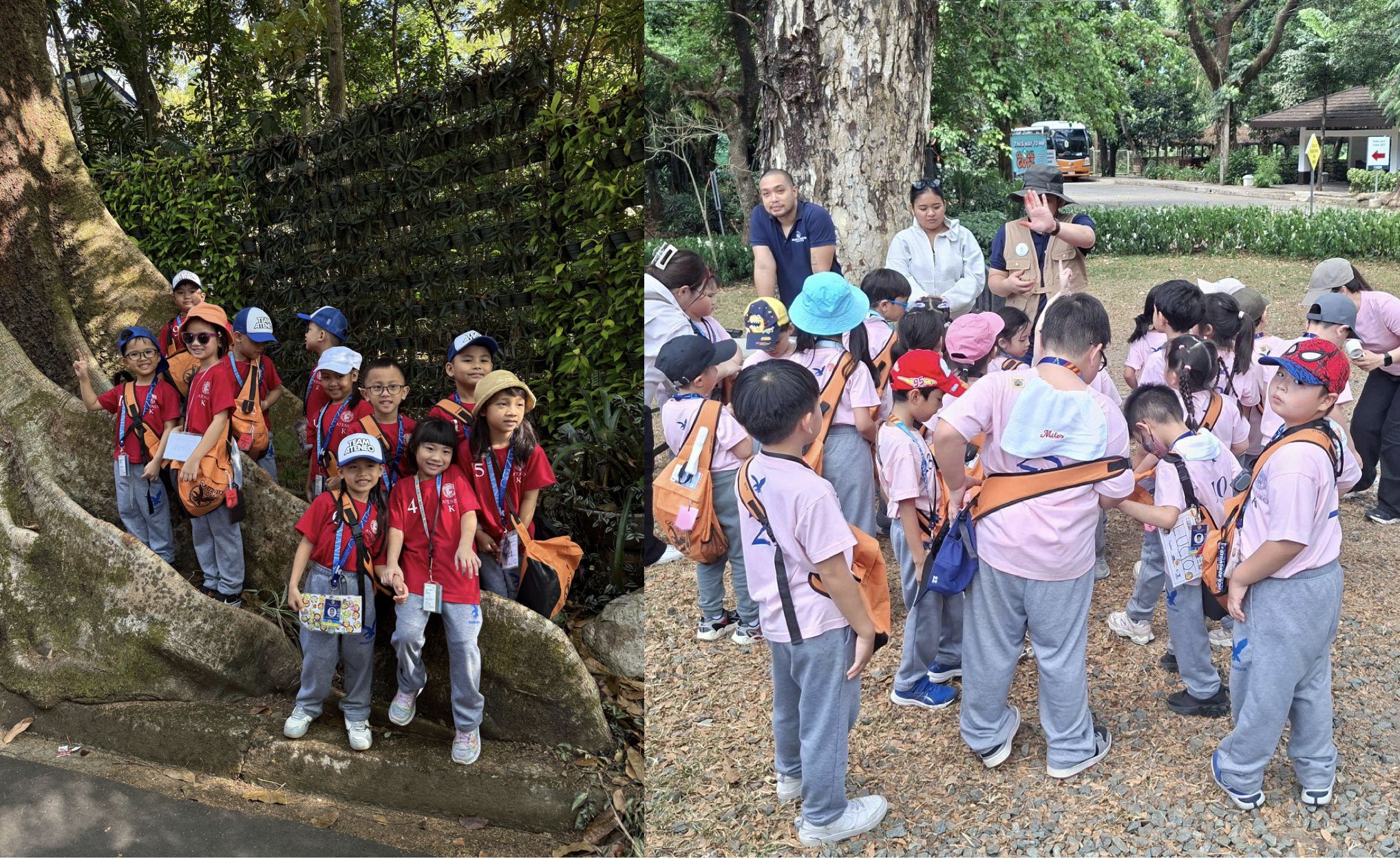 From seedlings to towering trees, the Kinder classes experienced nature up close. (Photo courtesy of Katrina Herrera ad Mericon Navarro)