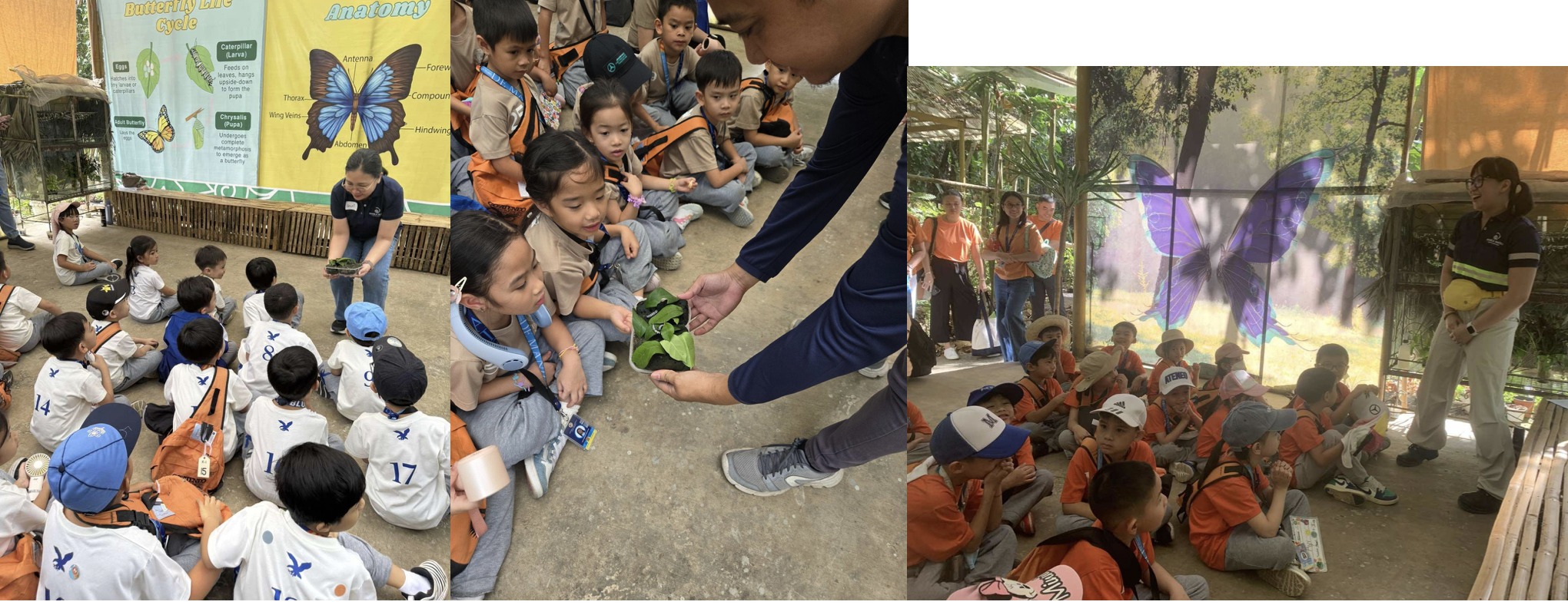 Little learners discovering the world of butterflies. (Photo courtesy of Mela Quiroz, Mia Joseph-Araga, and Jacqueline Velasco)
