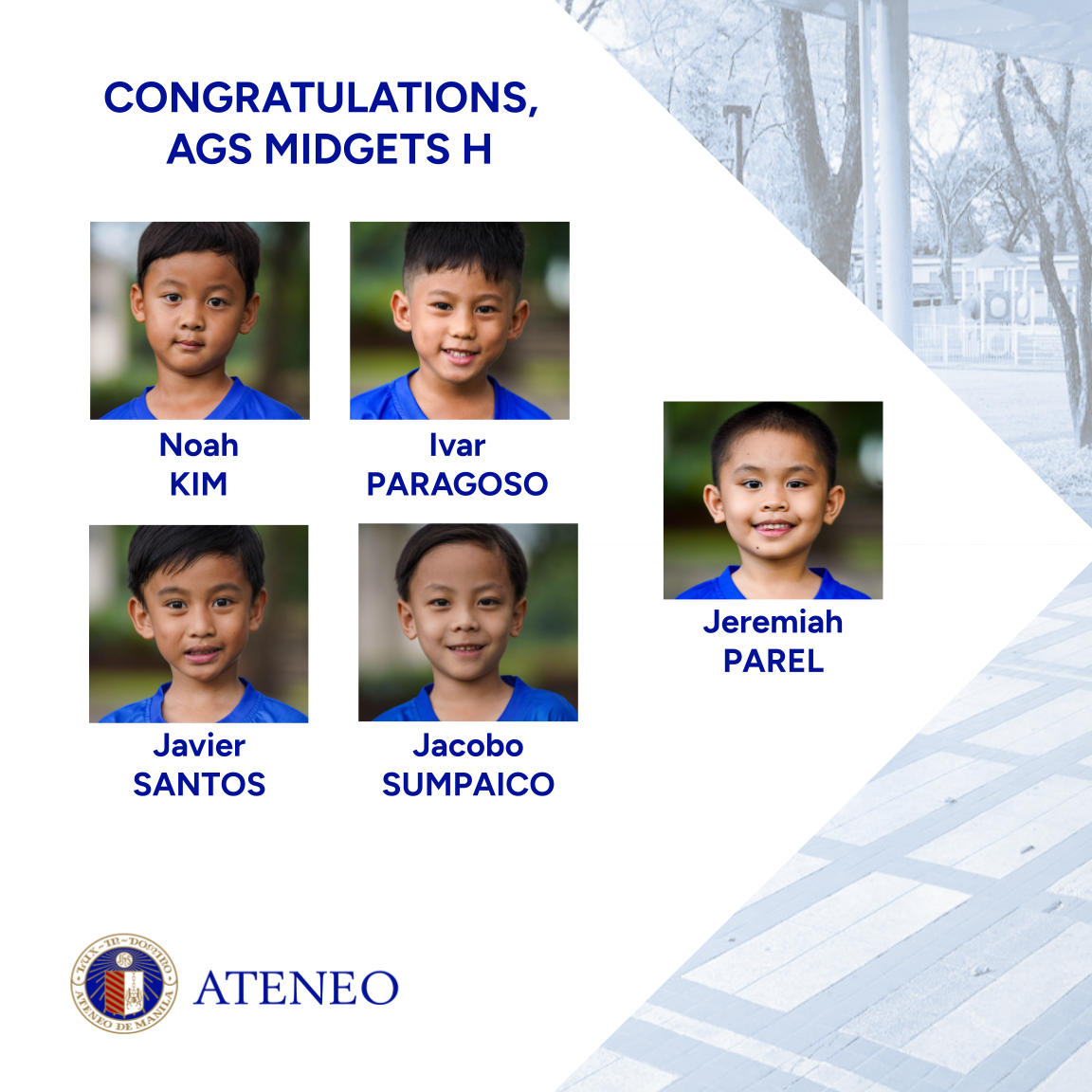 Solo 3 of 3 Midgets H 