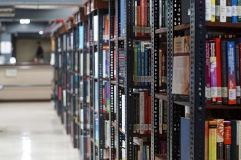 Professional Schools Library stacks