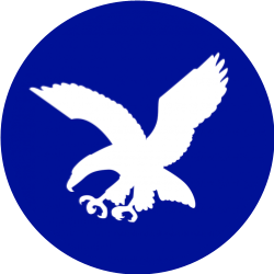 Blue Eagle