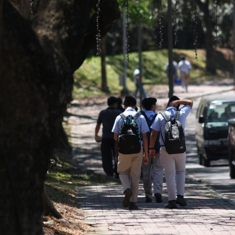 COMMUNITY SENSING ON MOBILITY