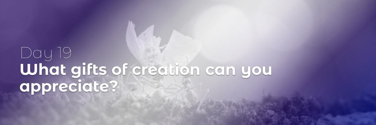 40 Days of Lent: Day 19