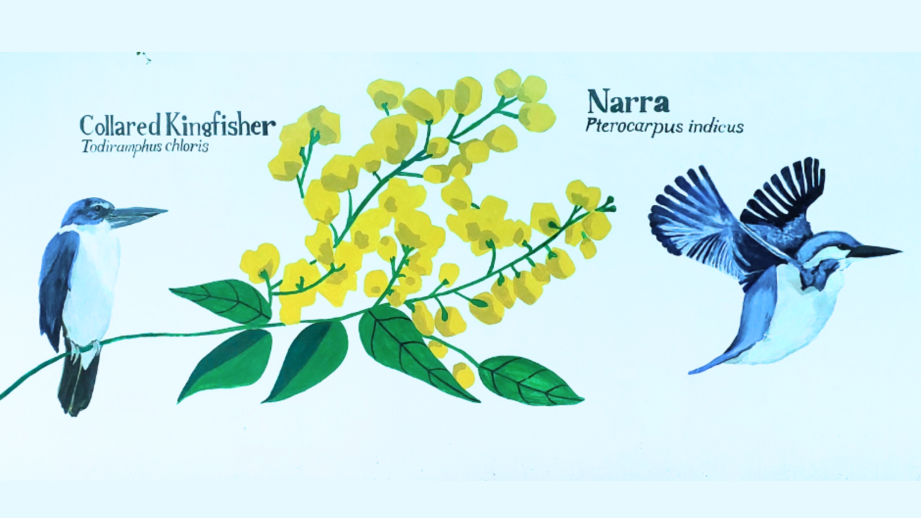 Kingfisher and Narra Mural