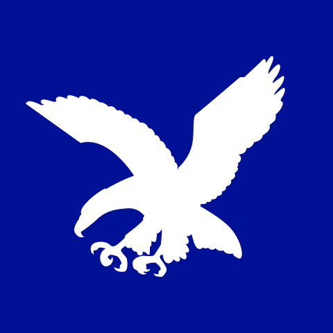 Eagle Logo