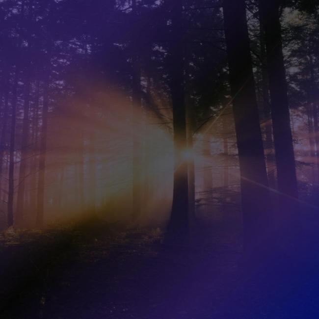 Lenten Reflection: I Am Yours