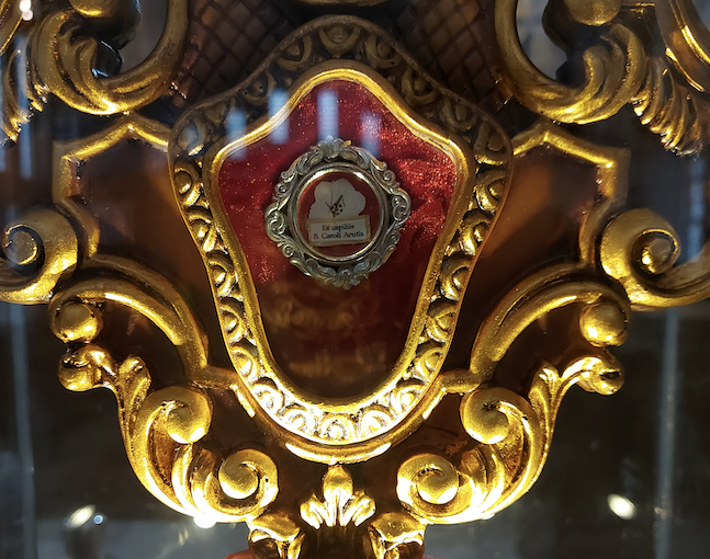 Holy Relic of Blessed Carlo Acutis 