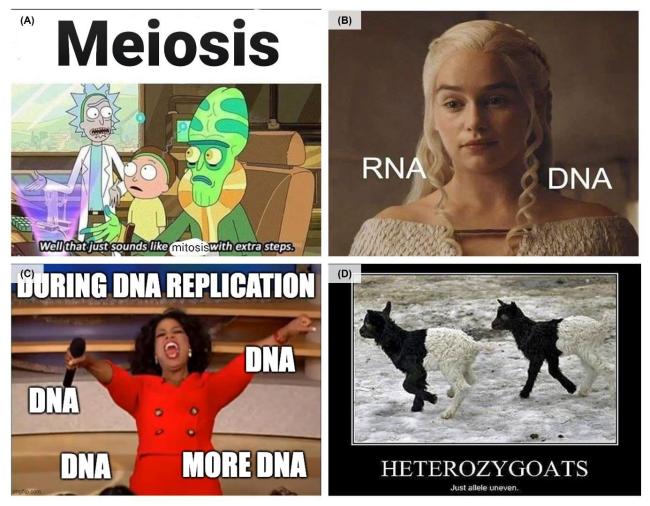 Sample biology-themed memes used to teach high school students
