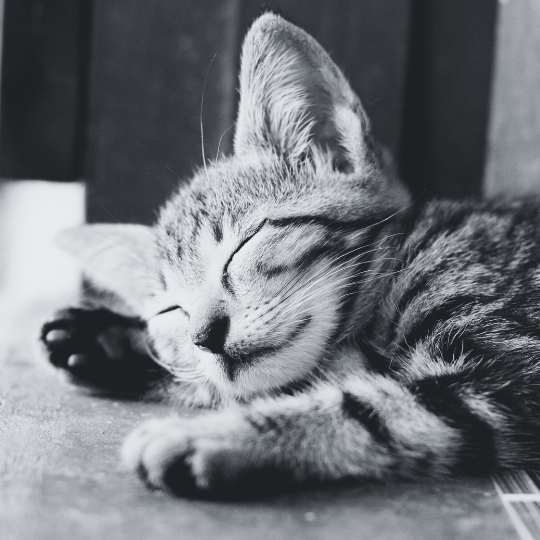 Lenten Reflection Day 3